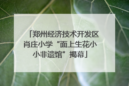 郑州经济技术开发区肖庄小学“面上生花小小非遗馆”揭幕