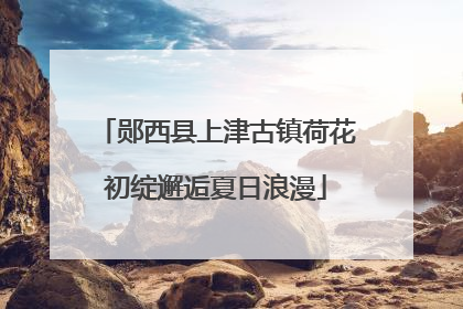 郧西县上津古镇荷花初绽邂逅夏日浪漫