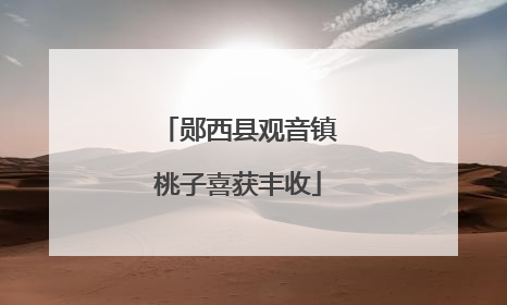 郧西县观音镇桃子喜获丰收