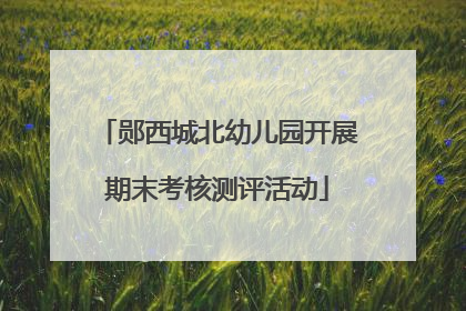 郧西城北幼儿园开展期末考核测评活动