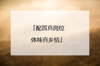 配置真岗位 体味真乡情