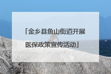 金乡县鱼山街道开展医保政策宣传活动