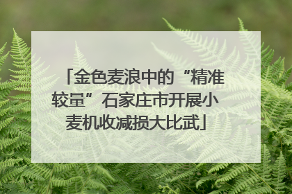 金色麦浪中的“精准较量”石家庄市开展小麦机收减损大比武