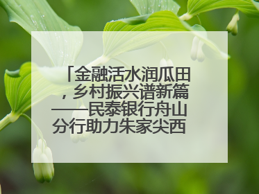 金融活水润瓜田，乡村振兴谱新篇——民泰银行舟山分行助力朱家尖西瓜甜蜜升级