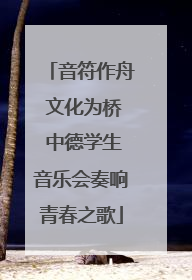 音符作舟 文化为桥 中德学生音乐会奏响青春之歌