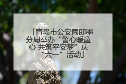 青岛市公安局即墨分局举办“警心暖童心 共筑平安梦”庆“六一”活动