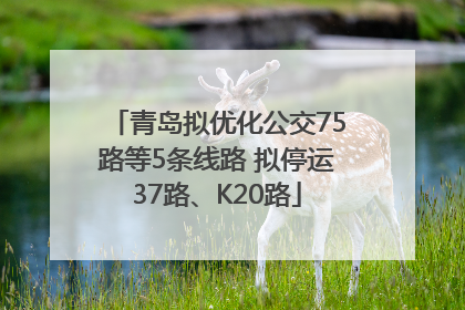 青岛拟优化公交75路等5条线路 拟停运37路、K20路
