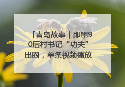 青岛故事｜即墨90后村书记“功夫”出圈，单条视频播放量过600万