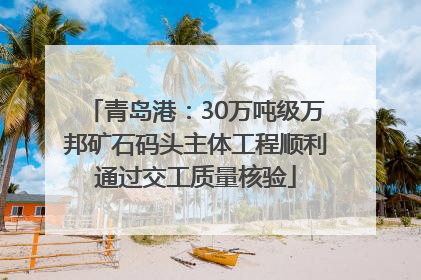 青岛港：30万吨级万邦矿石码头主体工程顺利通过交工质量核验