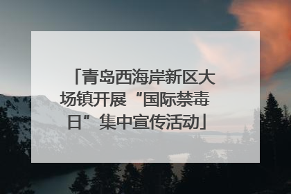 青岛西海岸新区大场镇开展“国际禁毒日”集中宣传活动