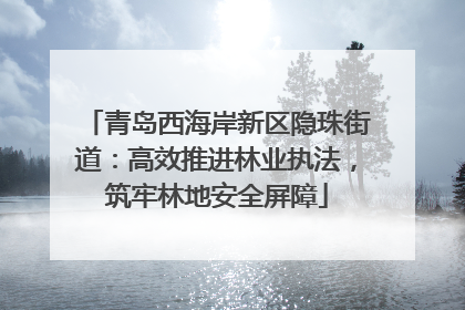 青岛西海岸新区隐珠街道：高效推进林业执法，筑牢林地安全屏障