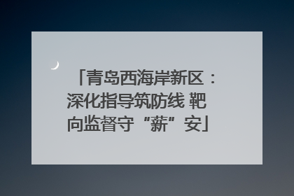 青岛西海岸新区：深化指导筑防线 靶向监督守“薪”安