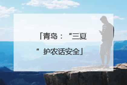 青岛：“三夏”护农话安全