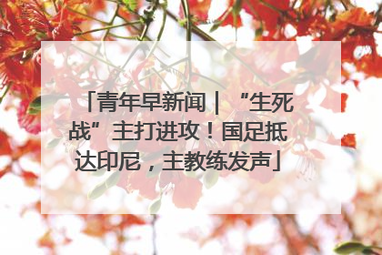 青年早新闻｜“生死战”主打进攻！国足抵达印尼，主教练发声