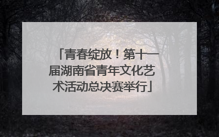 青春绽放！第十一届湖南省青年文化艺术活动总决赛举行