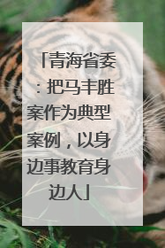 青海省委：把马丰胜案作为典型案例，以身边事教育身边人
