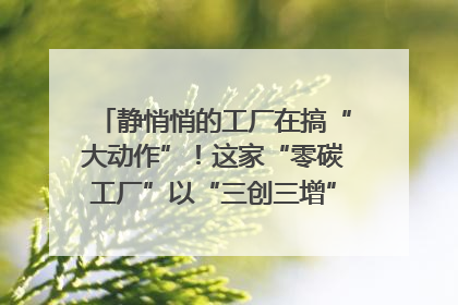 静悄悄的工厂在搞“大动作”！这家“零碳工厂”以“三创三增”探索共富新路径｜网络名人四川行