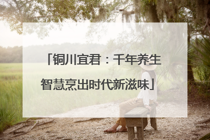 铜川宜君：千年养生智慧烹出时代新滋味