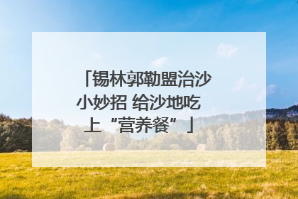 锡林郭勒盟治沙小妙招 给沙地吃上“营养餐”