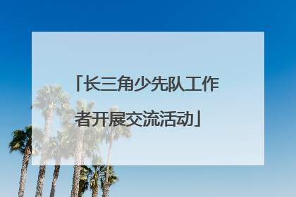 长三角少先队工作者开展交流活动