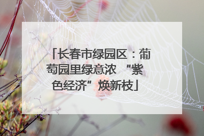 长春市绿园区：葡萄园里绿意浓 “紫色经济”焕新枝