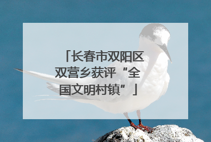 长春市双阳区双营乡获评“全国文明村镇”
