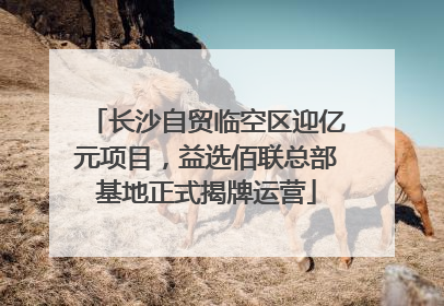 长沙自贸临空区迎亿元项目，益选佰联总部基地正式揭牌运营