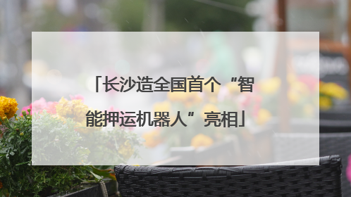 长沙造全国首个“智能押运机器人”亮相