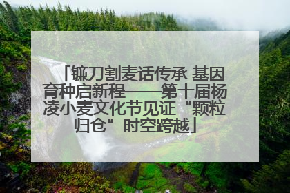 镰刀割麦话传承 基因育种启新程——第十届杨凌小麦文化节见证“颗粒归仓”时空跨越