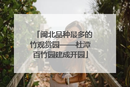 闽北品种最多的竹观赏园——杜潭百竹园建成开园