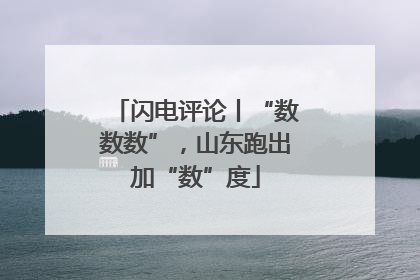 闪电评论丨“数数数”，山东跑出加“数”度