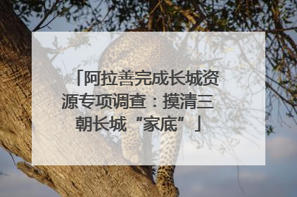 阿拉善完成长城资源专项调查：摸清三朝长城“家底”