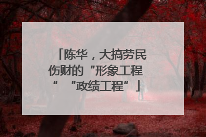 陈华，大搞劳民伤财的“形象工程”“政绩工程”