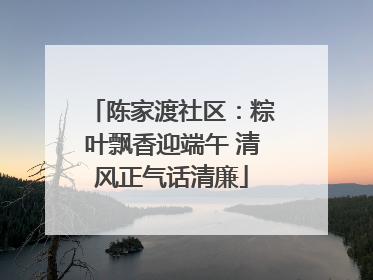 陈家渡社区：粽叶飘香迎端午 清风正气话清廉