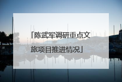 陈武军调研重点文旅项目推进情况