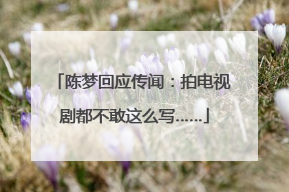 陈梦回应传闻：拍电视剧都不敢这么写……