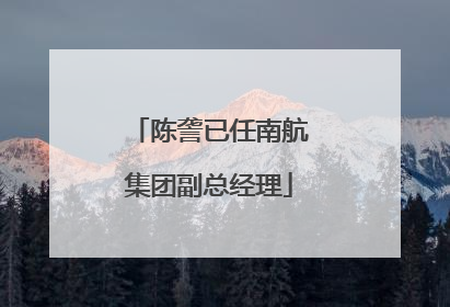 陈詟已任南航集团副总经理