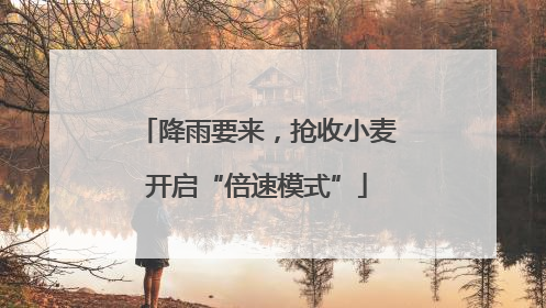降雨要来，抢收小麦开启“倍速模式”