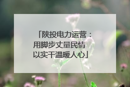 陕投电力运营：用脚步丈量民情 以实干温暖人心