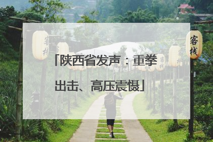 陕西省发声：重拳出击、高压震慑