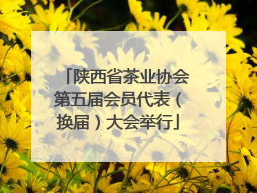 陕西省茶业协会第五届会员代表（换届）大会举行
