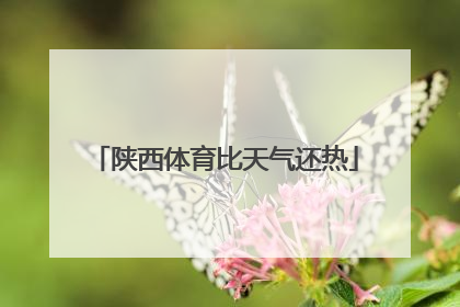 陕西体育比天气还热