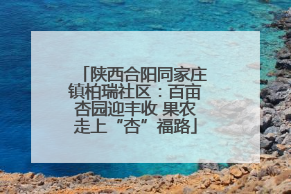 陕西合阳同家庄镇柏瑞社区：百亩杏园迎丰收 果农走上“杏”福路