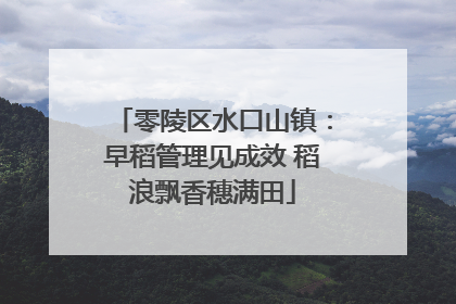 零陵区水口山镇：早稻管理见成效 稻浪飘香穗满田