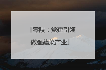 零陵：党建引领 做强蔬菜产业