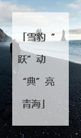 雪豹“跃”动 “典”亮青海
