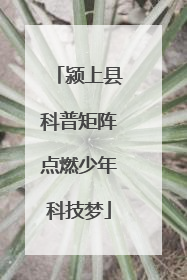 颍上县科普矩阵点燃少年科技梦