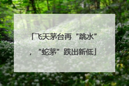 飞天茅台再“跳水”，“蛇茅”跌出新低