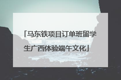 马东铁项目订单班留学生广西体验端午文化