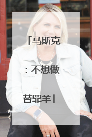 马斯克：不想做替罪羊